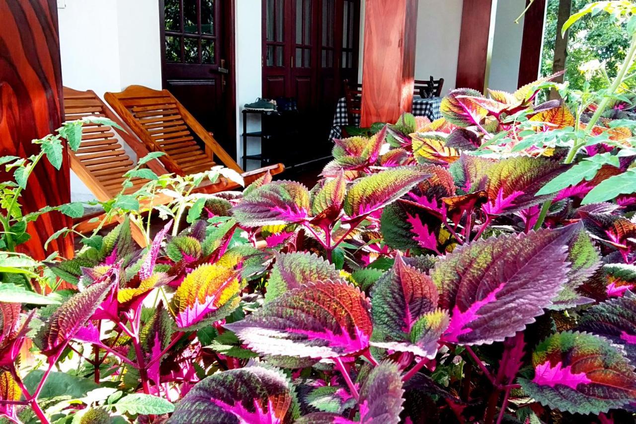 The Dream Resort Ella Exterior foto